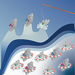 Watching Drugs Binding to Target One Molecule at a Time, “Figure Courtesy of Katrin Beilharz”