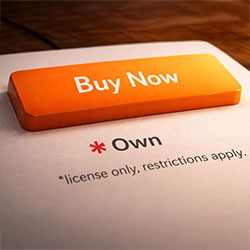 Very large orange button with text that says buy now, followed by the word own with an asterisk